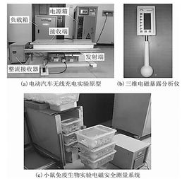 學(xué)術(shù)簡報(bào) 電動(dòng)汽車無線充電環(huán)境的生物電磁安全評(píng)估與電磁環(huán)境測試